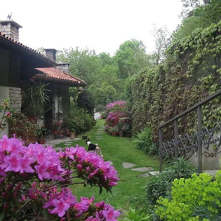 Casa Kinka *